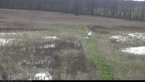 Cell 1 to 2_24-04-12_16-55-38-33