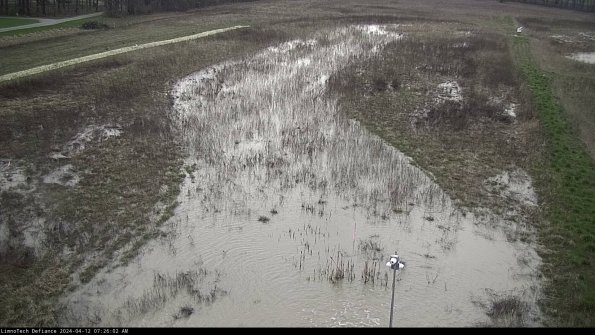 Cell 1_24-04-12_07-26-03-32