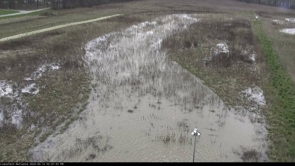 Cell 1_24-04-12_14-07-56-33