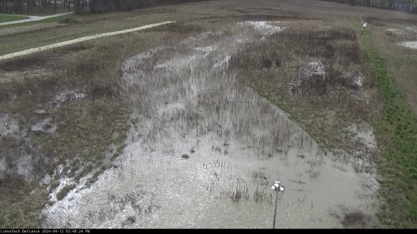 Cell 1_24-04-12_15-48-25-35