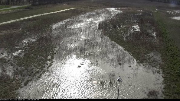 Cell 1_24-04-12_17-28-55-33