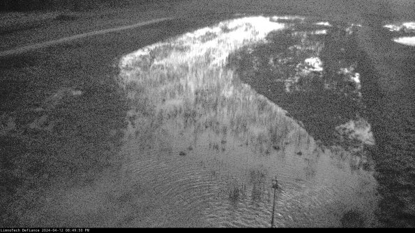 Cell 1_24-04-12_20-49-51-35