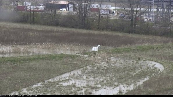 Cell 2 to 3_24-04-12_13-01-37-46