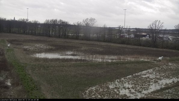 Cell 2_24-04-12_07-26-30-35