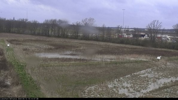 Cell 2_24-04-12_10-13-58-33