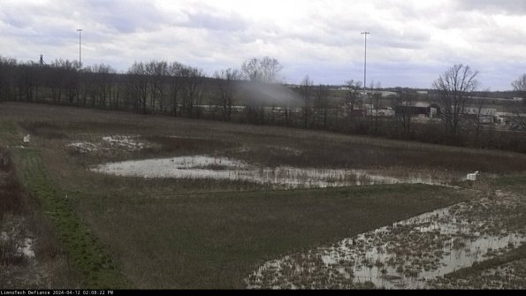 Cell 2_24-04-12_14-08-23-35