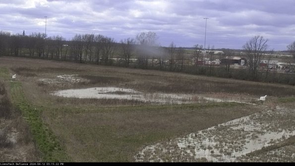 Cell 2_24-04-12_15-15-23-36