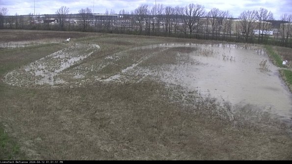 Cell 3_24-04-12_13-01-52-31