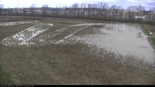 Cell 3_24-04-12_14-08-51-35