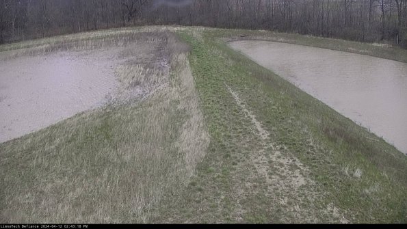 Cell 4 to Basin_24-04-12_14-43-19-32