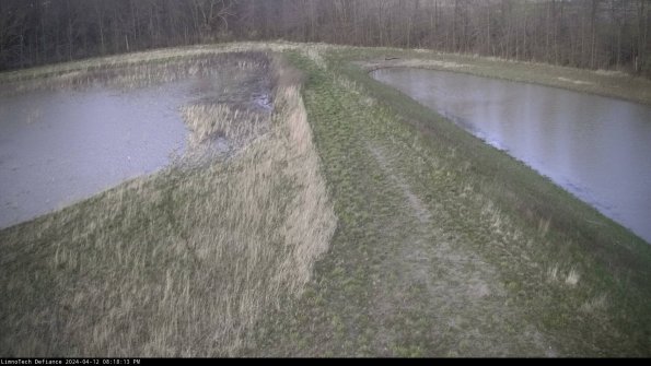 Cell 4 to Basin_24-04-12_20-18-14-31