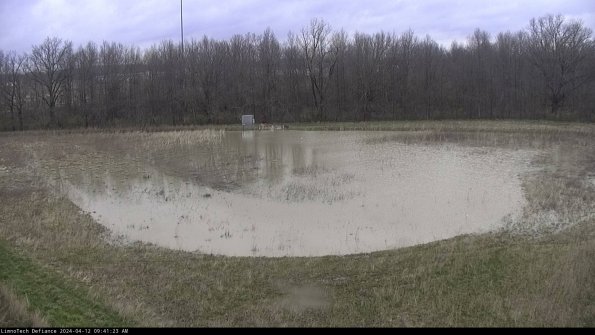 Cell 4_24-04-12_09-41-24-30