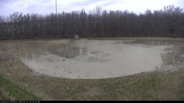 Cell 4_24-04-12_10-14-54-32