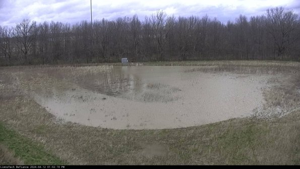 Cell 4_24-04-12_13-02-20-31