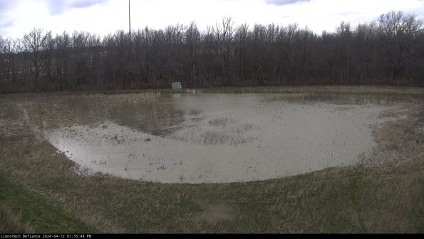 Cell 4_24-04-12_13-35-49-32