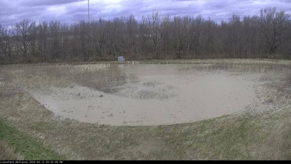 Cell 4_24-04-12_14-42-49-33