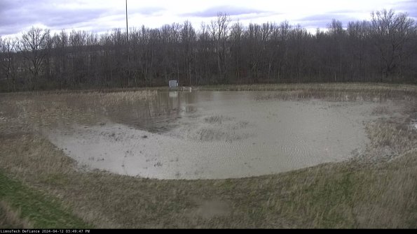 Cell 4_24-04-12_15-49-48-33