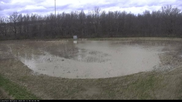 Cell 4_24-04-12_16-56-47-33