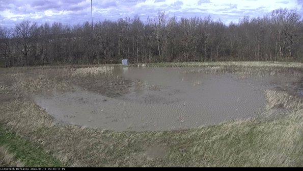 Cell 4_24-04-12_17-30-18-32