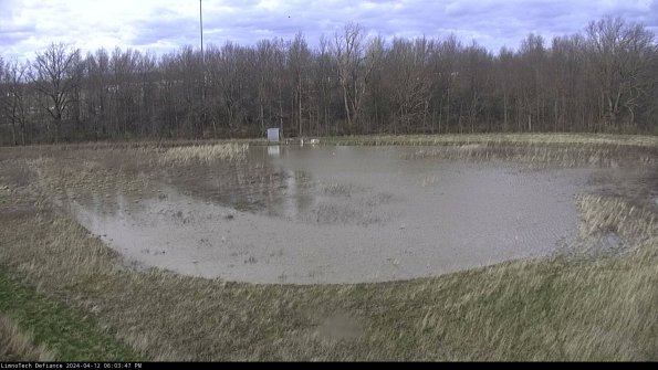 Cell 4_24-04-12_18-03-48-34