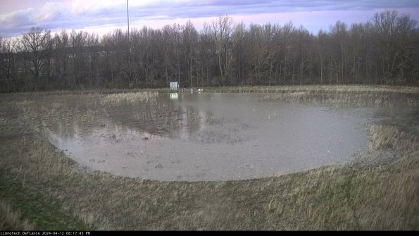 Cell 4_24-04-12_20-17-44-31