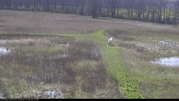 Cell 1 to 2_24-04-13_16-55-53-31