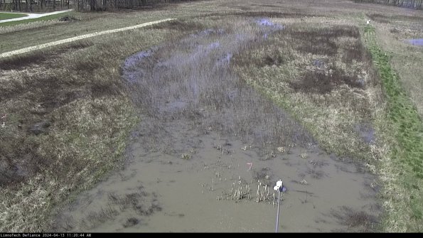 Cell 1_24-04-13_11-20-45-30