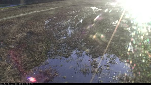 Cell 1_24-04-13_19-43-08-33