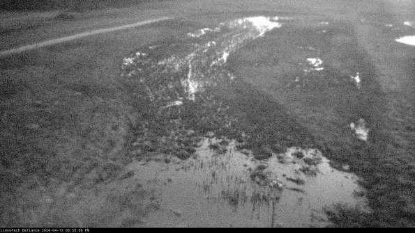 Cell 1_24-04-13_20-50-07-34