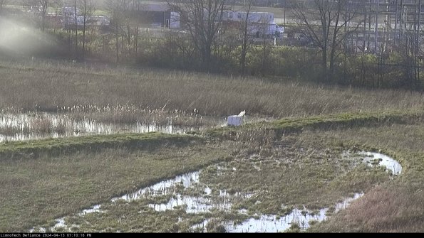 Cell 2 to 3_24-04-13_19-10-17-35