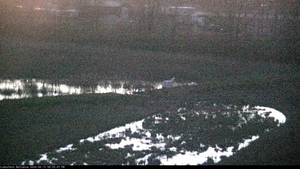 Cell 2 to 3_24-04-13_20-50-47-48