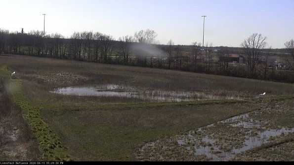 Cell 2_24-04-13_17-29-35-37