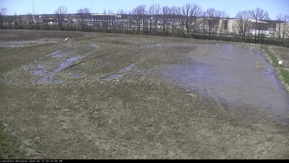 Cell 3_24-04-13_15-16-07-32