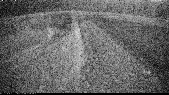 Cell 4 to Basin_24-04-13_20-52-00-35