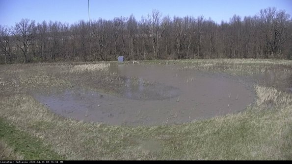 Cell 4_24-04-13_15-16-35-31