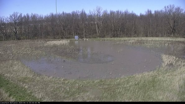 Cell 4_24-04-13_15-50-04-34