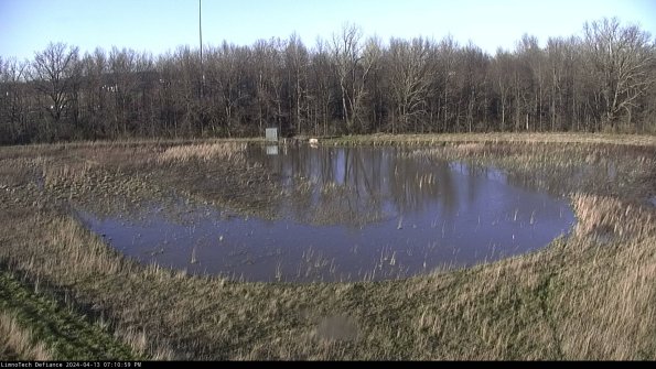 Cell 4_24-04-13_19-11-00-33