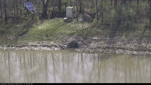 Basin Inflow_24-04-15_11-23-46-60