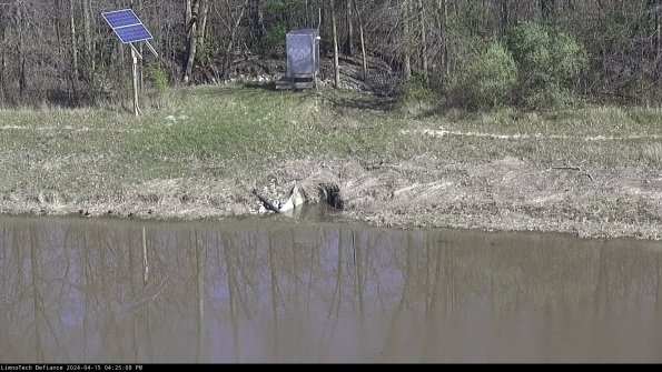 Basin Inflow_24-04-15_16-25-08-45