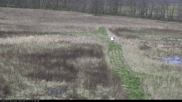 Cell 1 to 2_24-04-15_11-21-41-31