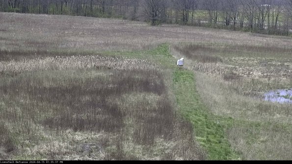 Cell 1 to 2_24-04-15_13-35-38-32