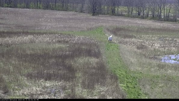 Cell 1 to 2_24-04-15_14-42-37-32