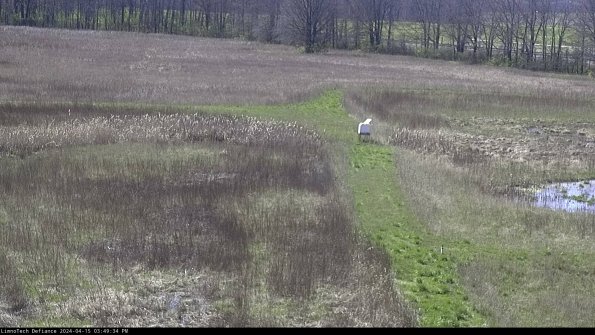 Cell 1 to 2_24-04-15_15-49-35-34