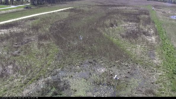 Cell 1_24-04-15_15-15-52-34