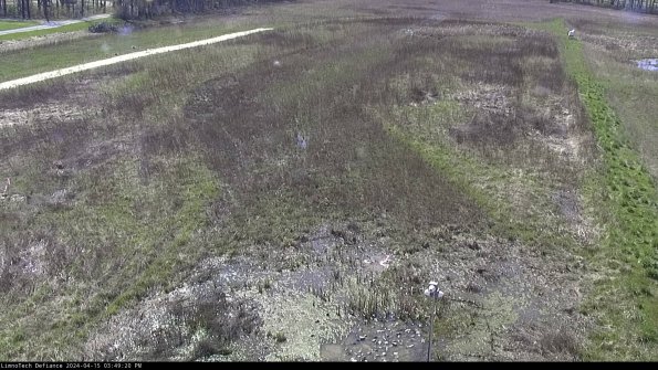 Cell 1_24-04-15_15-49-21-32