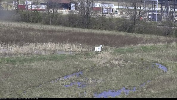 Cell 2 to 3_24-04-15_11-22-07-40