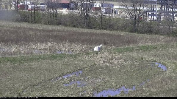 Cell 2 to 3_24-04-15_13-36-04-35