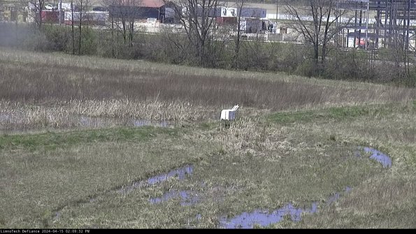 Cell 2 to 3_24-04-15_14-09-33-44