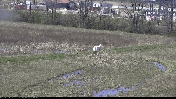 Cell 2 to 3_24-04-15_14-43-03-38