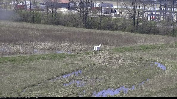 Cell 2 to 3_24-04-15_15-16-32-51